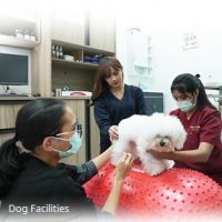 dog facilities amenities